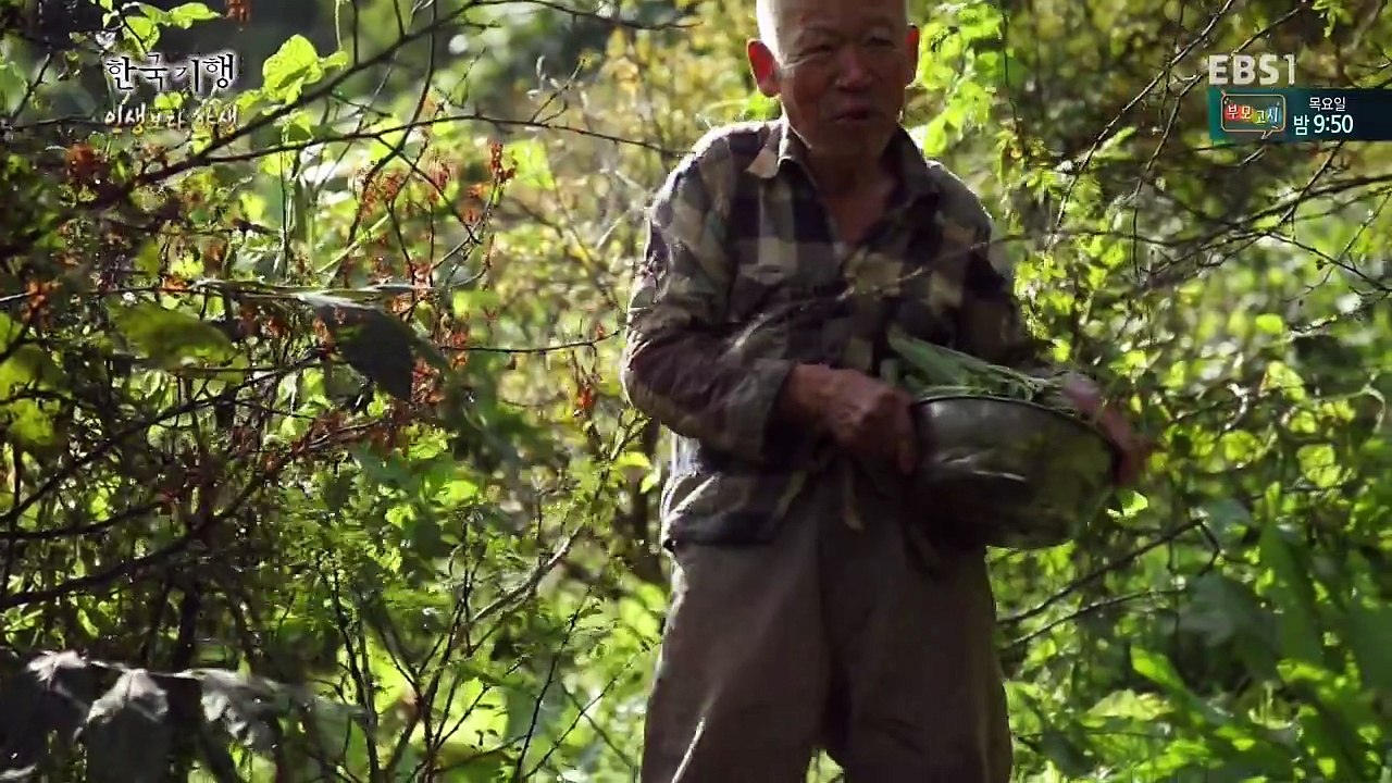 Wild Life-1-Finding the last slash-and-burn farmers-20161212
