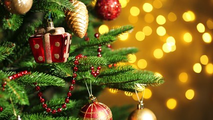 Couple Fills Home With 100 Christmas Trees