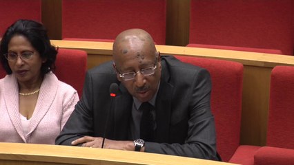 Questions de Georges Patient lors de l'audition de Mme Ericka Bareigts, ministre des Outre mer - PJL égalité réelle