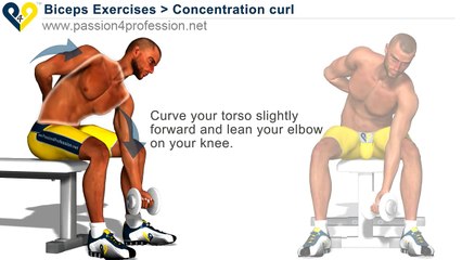 ---Bodybuilding Exercises - Free Weights -