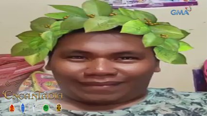 Encantadia Fan Made: Pink flowers