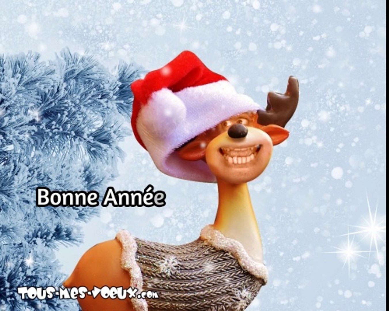 La chanson de la bonne année, bonne année humour, carte voeux animée -  Vidéo Dailymotion