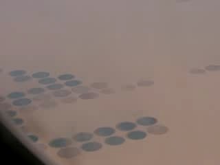 Cercles de culture 2