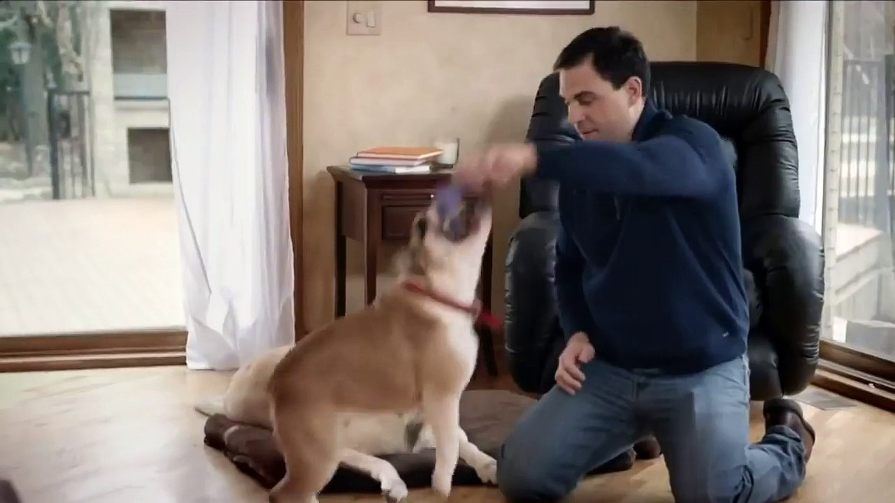 Swiffer - L' Esclave des Poils