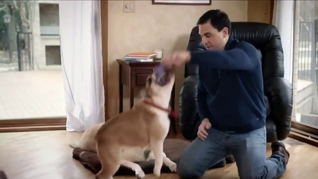 Swiffer - L' Esclave des Poils