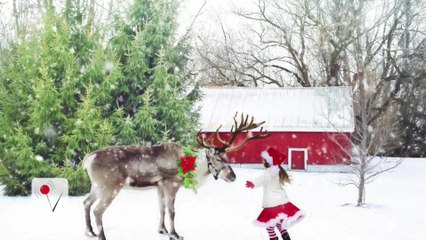 Santa's Helpers Are Starving In The Arctic