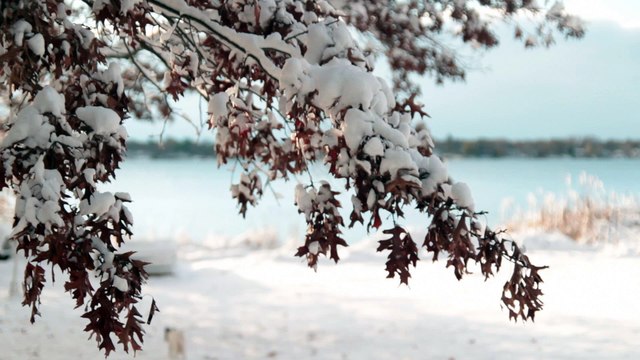 Stacy Willie Minneapolis 2106 Snow Day