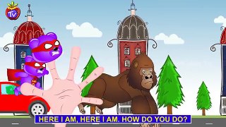 Mega Gummy Bear Finger Family Collection|Gummy Bear trying to save Drowning Cat Finger Family Songs