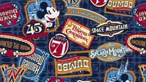 Disney Parks Blog Unboxed – Magic Kingdom 45th Anniversary   Walt Disney World