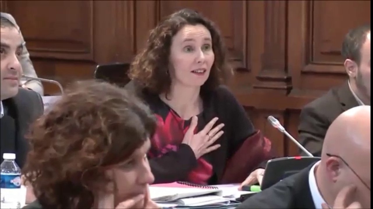Sandrine HILY. Voeu relatif au  CETA. Session de décembre 2016