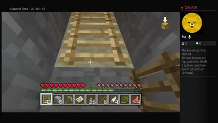 Building a community world