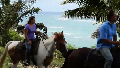 Aulani Excursions Showcase Hawai i   Aulani Resort & Spa