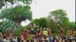 Disney s Animal Kingdom Celebrates 15 Years   Walt Disney World - YouTube