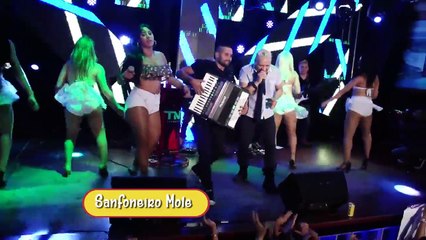 DVD-Cintura-de-Mola-Musica-Sanfoneiro-Mole