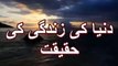 (Best) Duniya ki Zindagi ki Haqeeqat By Maulana Tariq Jameel