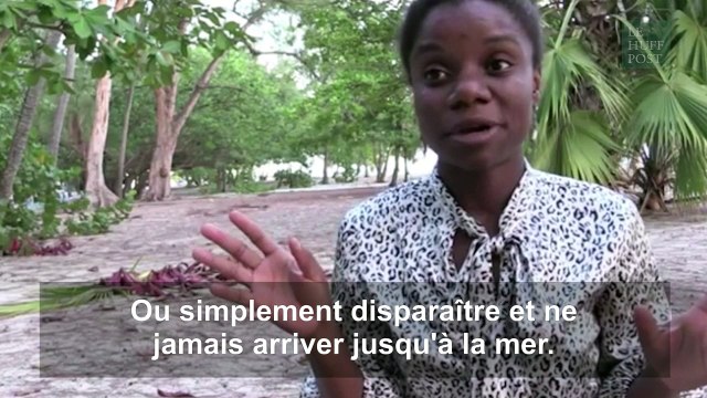 Le joli geste des équipes de tournage de la BBC pour des bébés tortues