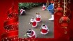 Cute Christmas Penguins in Japan Dressed as Santa