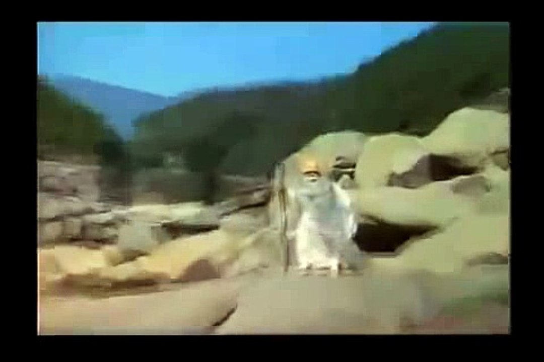 해외카지노사이트ぉ／／ ＧＭ５５４。COM  ／／ぜ그랑프리2