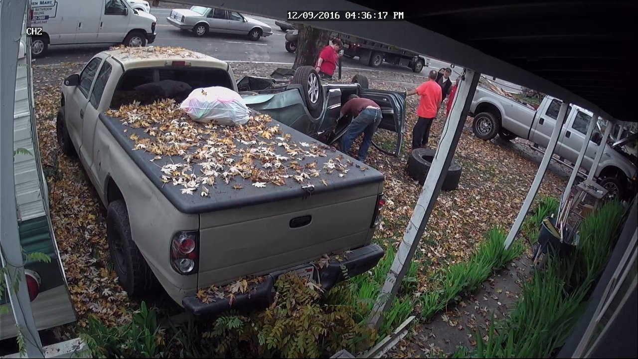 Woman Falls Asleep at the Wheel and Crashes into Tree