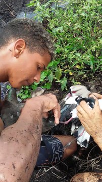 Two Birds Rescued from Tangled Kite Line