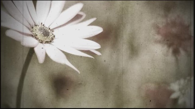 Splet narodnih pesama (37)