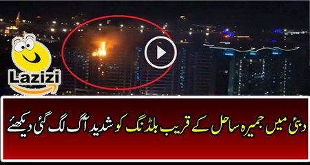 Fire Caught up at The Palm Jumeirah Dubai in a Building