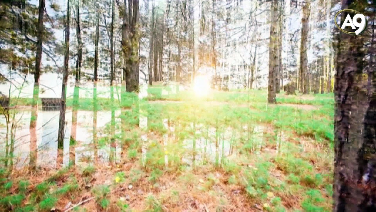 Die Zeichen der Gemeinschaft