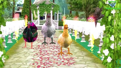 Gorilla Color Song For Children || Popular Nursery Rhymes For Cartoon Children Rhymes