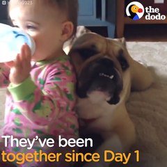 Bulldog And His Little Girl Are The Ultimate BFFs