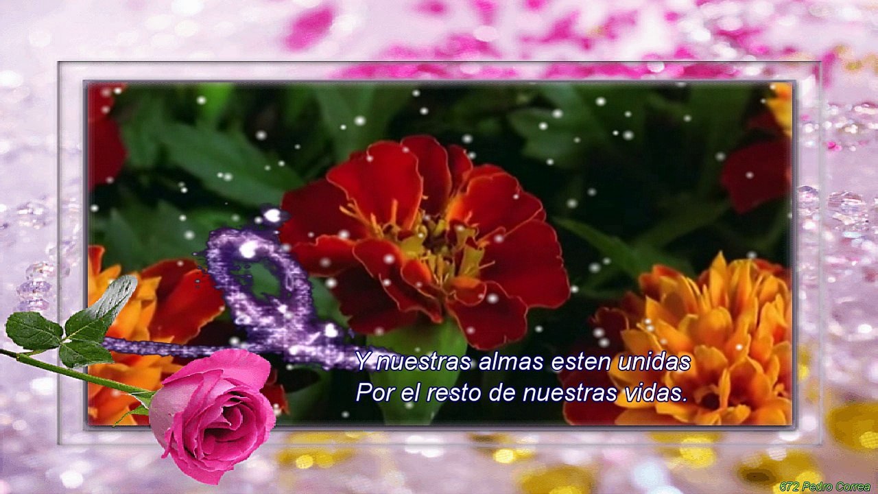 Ser Parte de tu Vida