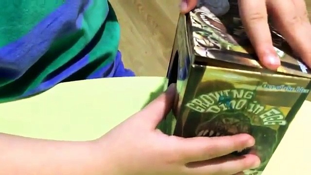 Juego para niños. Nacimiento de un dinosaurio en directo.