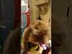 Pet Monkey Gets Surprise Present From Well-Wisher