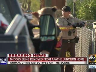 14 dogs removed from Apache Junction home
