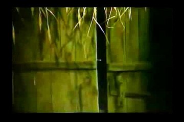 섯다사이트ち／／ ＧＭ５５４。COM  ／／ぅ화투놀이종류