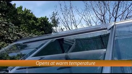 New! Buy the Maze Vertical Garden at $79 Only!