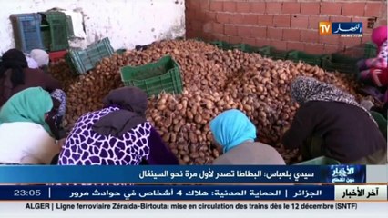 سيدي بلعباس  البطاطا تصدر لأول مرة نحو السينغال