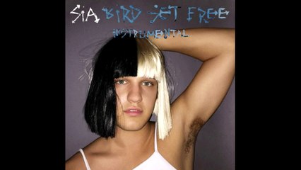 Sia - Bird Set Free (Instrumental)