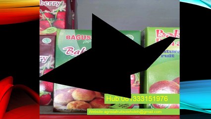081333151976,(Telkomsel),Bakpia Apel,Manisan,sariapel