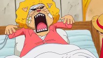 One Piece 766 Vostfr - ワンピース 766