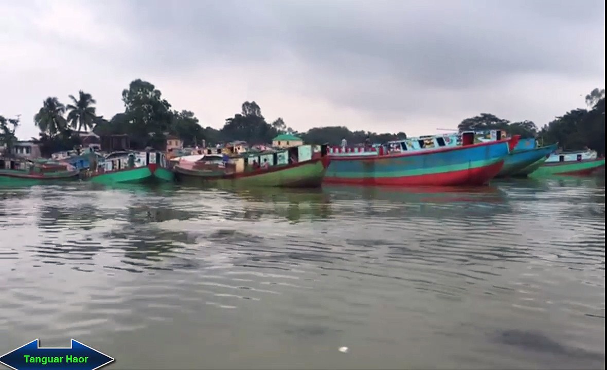 Tanguar Haor 2016