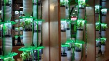 Vertical Gardening Ideas - Build Your Indoor Garden DIY Project with using Plastic Bottles