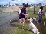 foulées et course canine à montreuil le gast