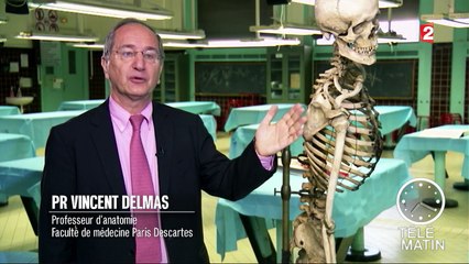 Sciences - L’anatomie : retour aux sources