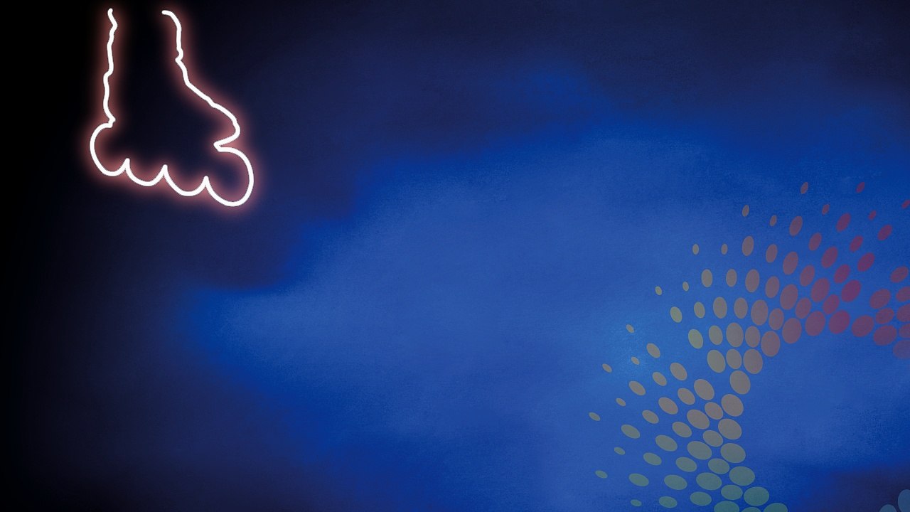 Carte de Voeux FF Roller Sports 2017