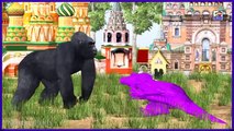 Learn Colors With Spider Man, Gorilla & Dinosaur - 3D Cartoon Animated Rhymes For Kids & Todlers