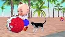 Funny Little Baby Boy Cats Playing Surprise Eggs | Cute Baby Videos Funny Compilation Shark Attack