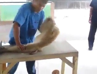 IMRAN KHAN 'PUSH UP'