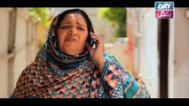 Haal-e-Dil Ep 58 - on Ary Zindagi in High Quality 14th December 2016