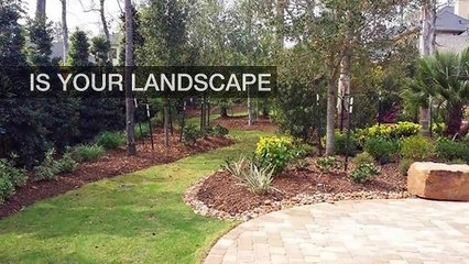 The Importance Of Hiring Professional Gardeners