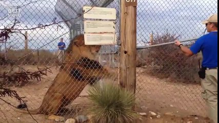 Нужно теперь штаны поменять)))